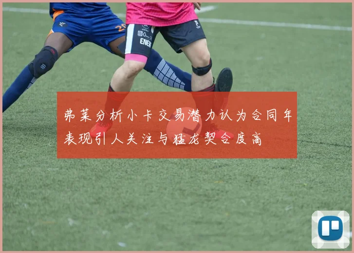 弗莱分析小卡交易潜力认为合同年表现引人关注与猛龙契合度高