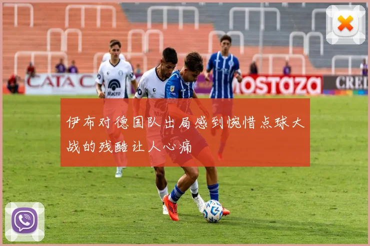 伊布对德国队出局感到惋惜点球大战的残酷让人心痛